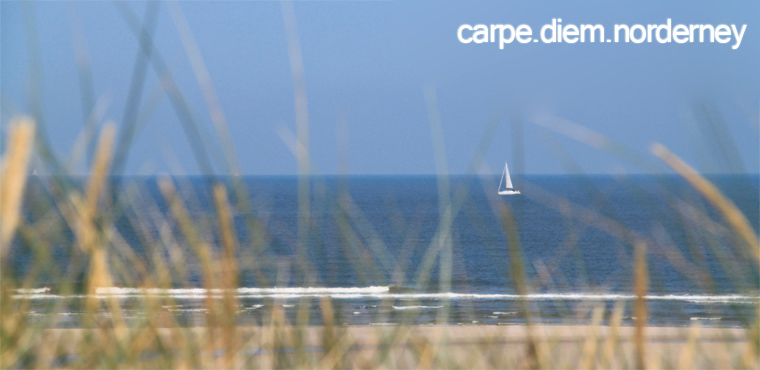 Nordsee Norderney Segelboot